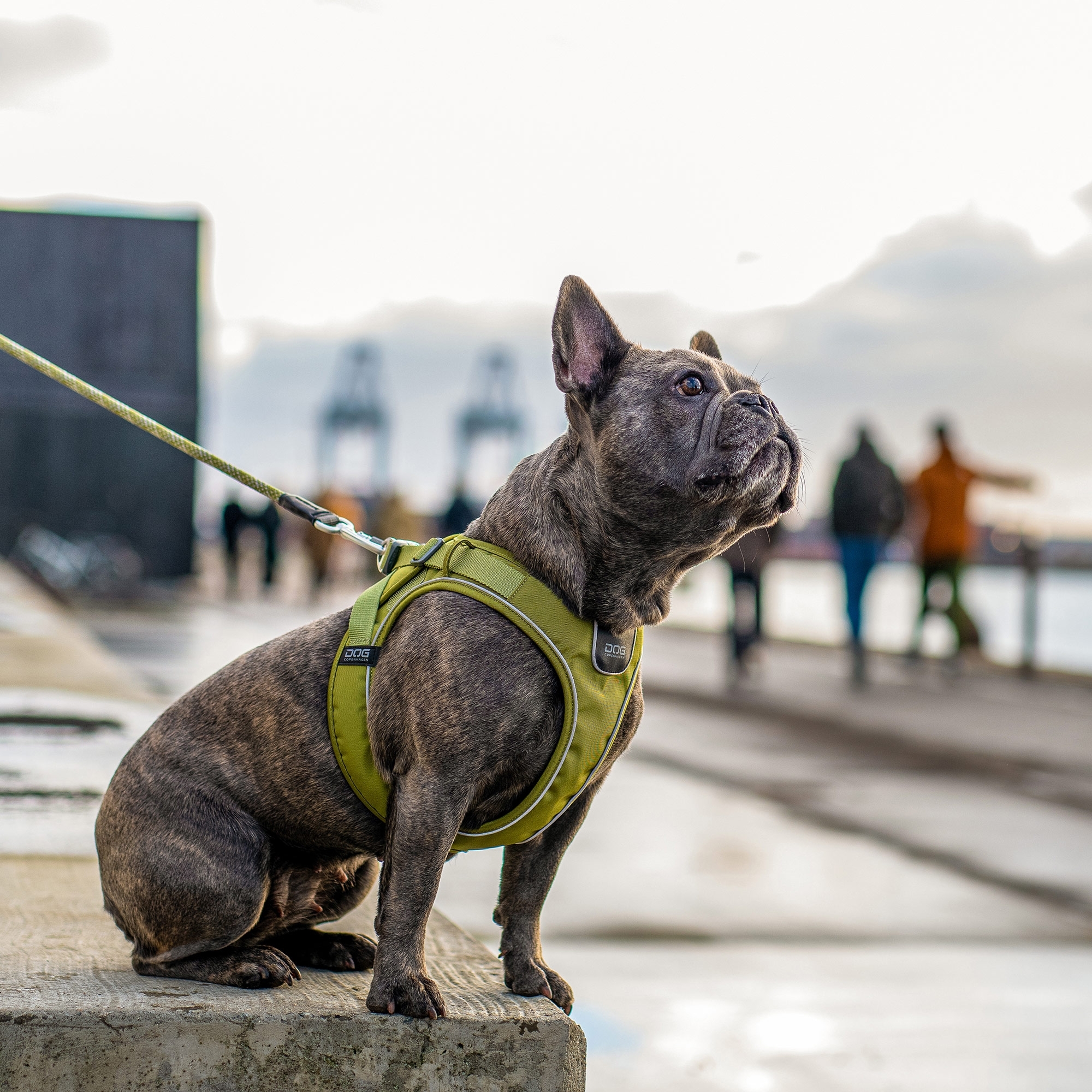 Pettorina Comfort Walk Go™