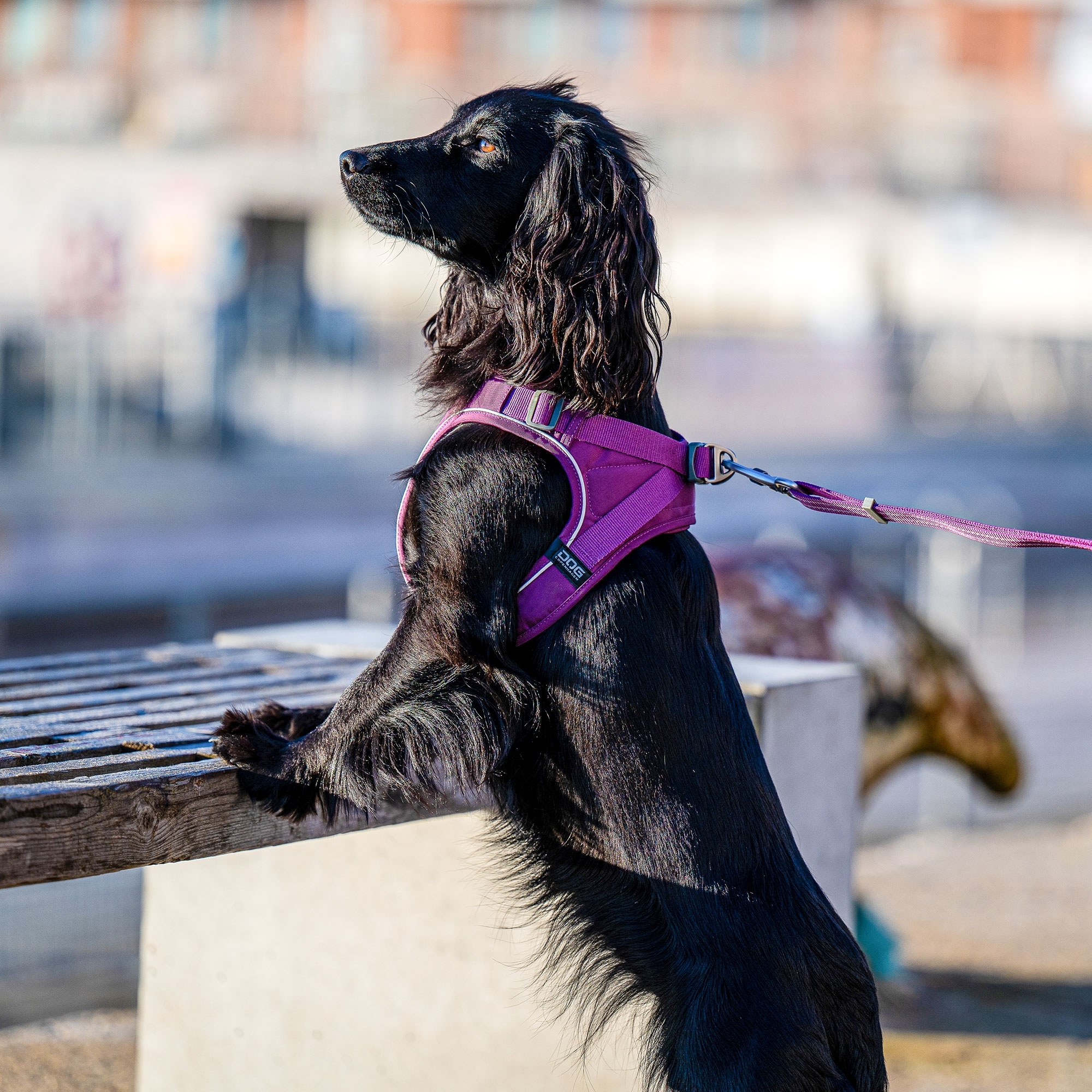 Comfort Walk Go™ Sele