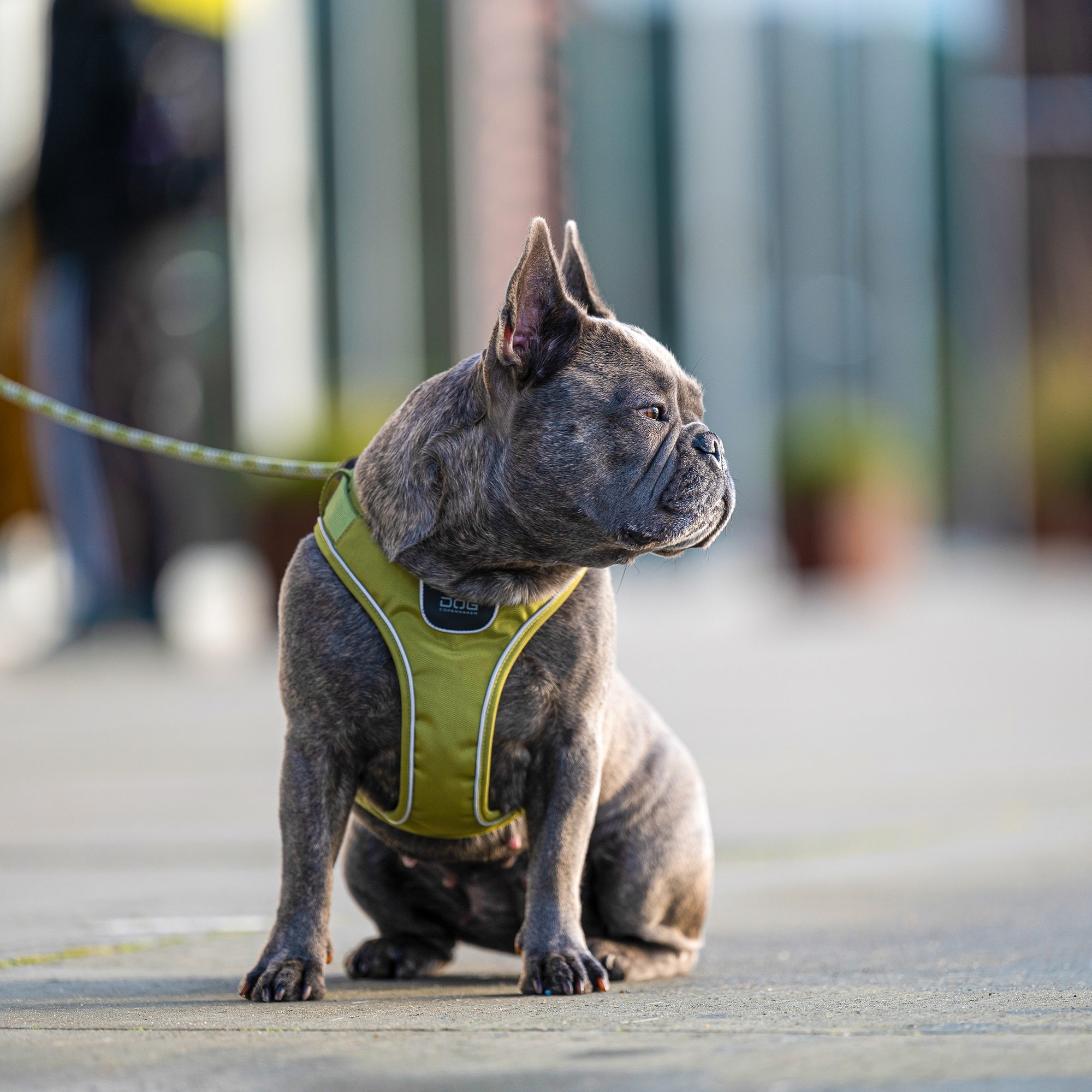 Pettorina Comfort Walk Go™