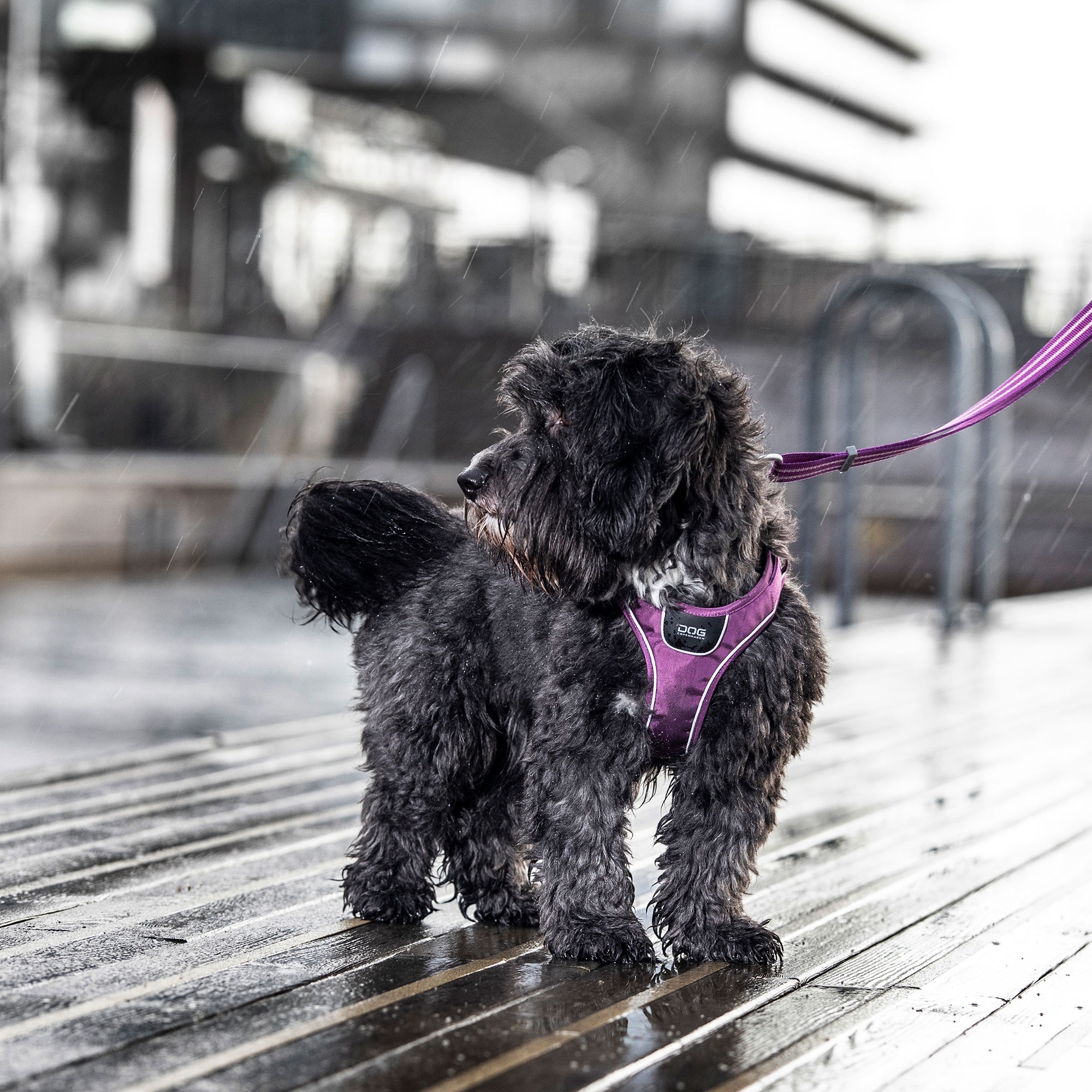 Comfort Walk Go™ Sele