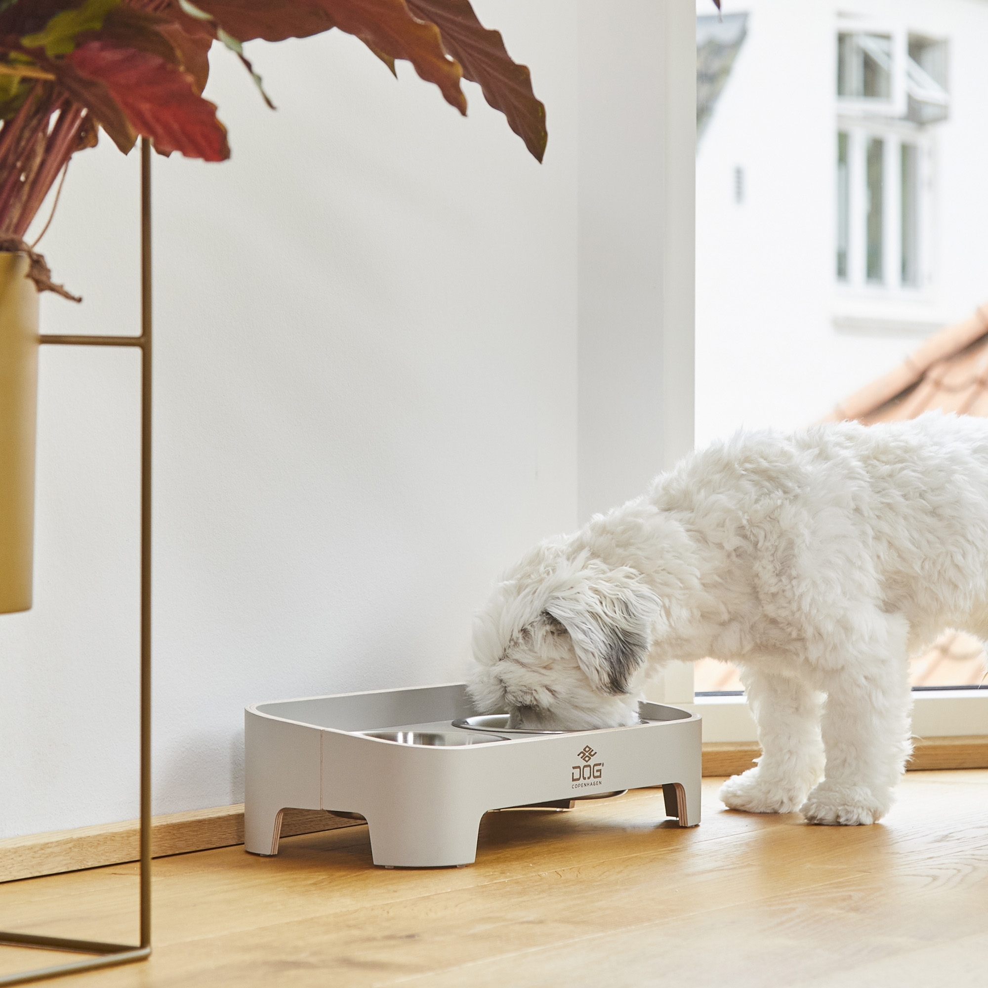 Bar pour chiens Skagen