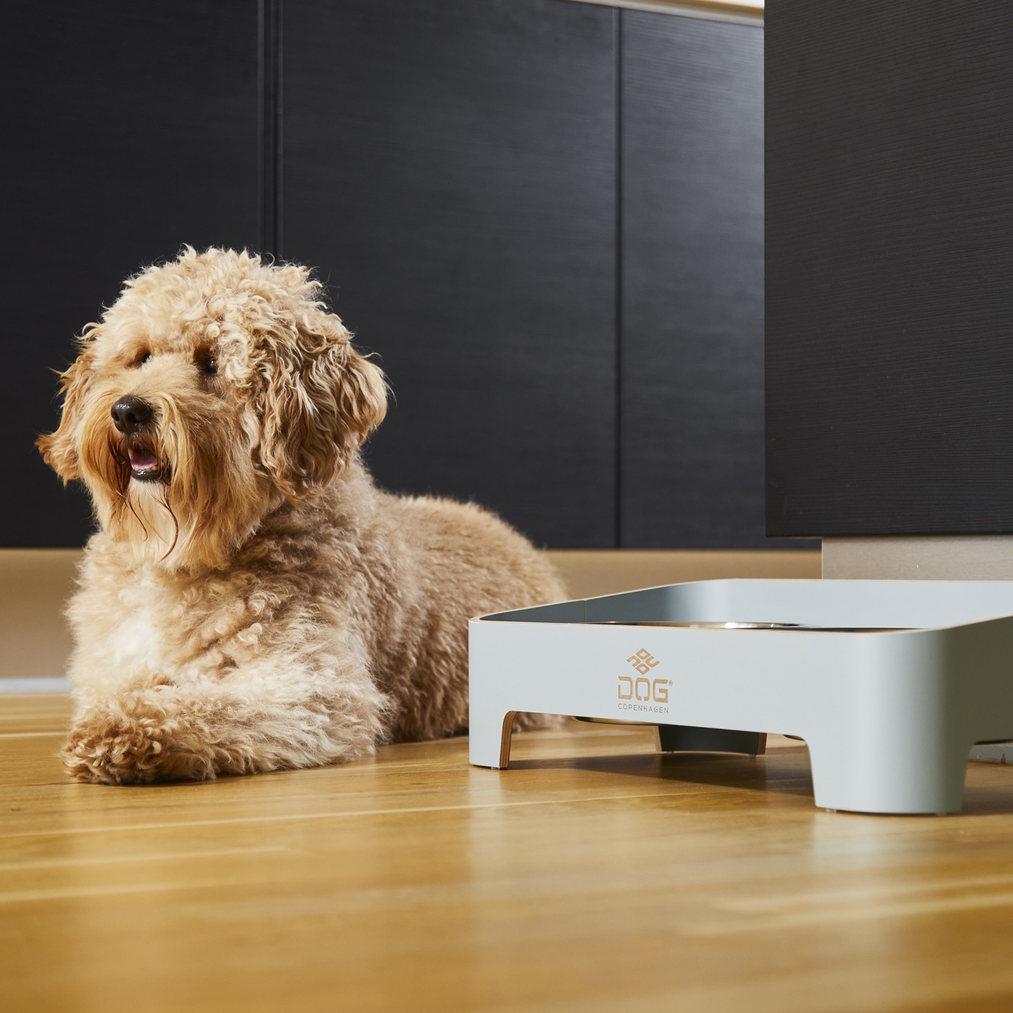 Bar pour chiens Skagen