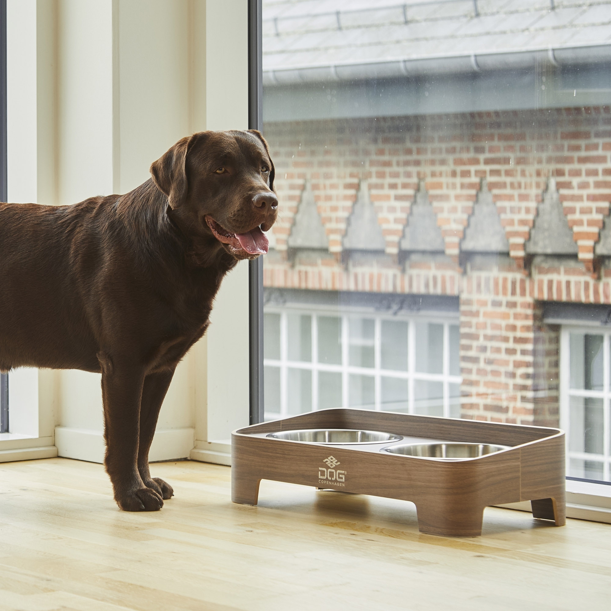 Bar pour chiens Skagen