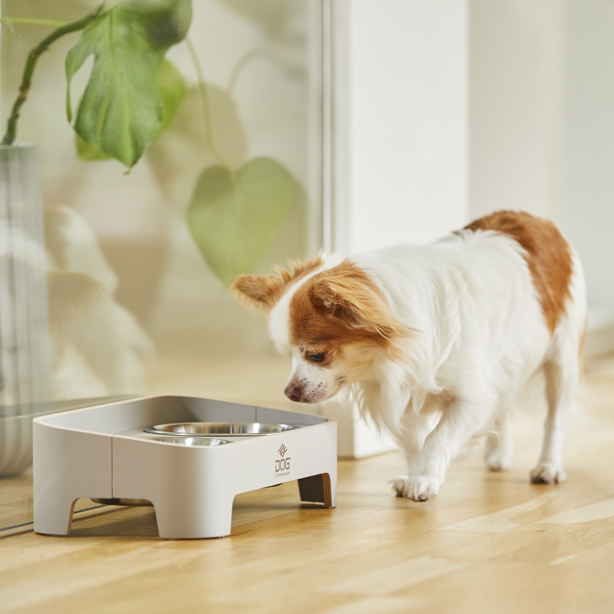 Bar pour chiens Skagen