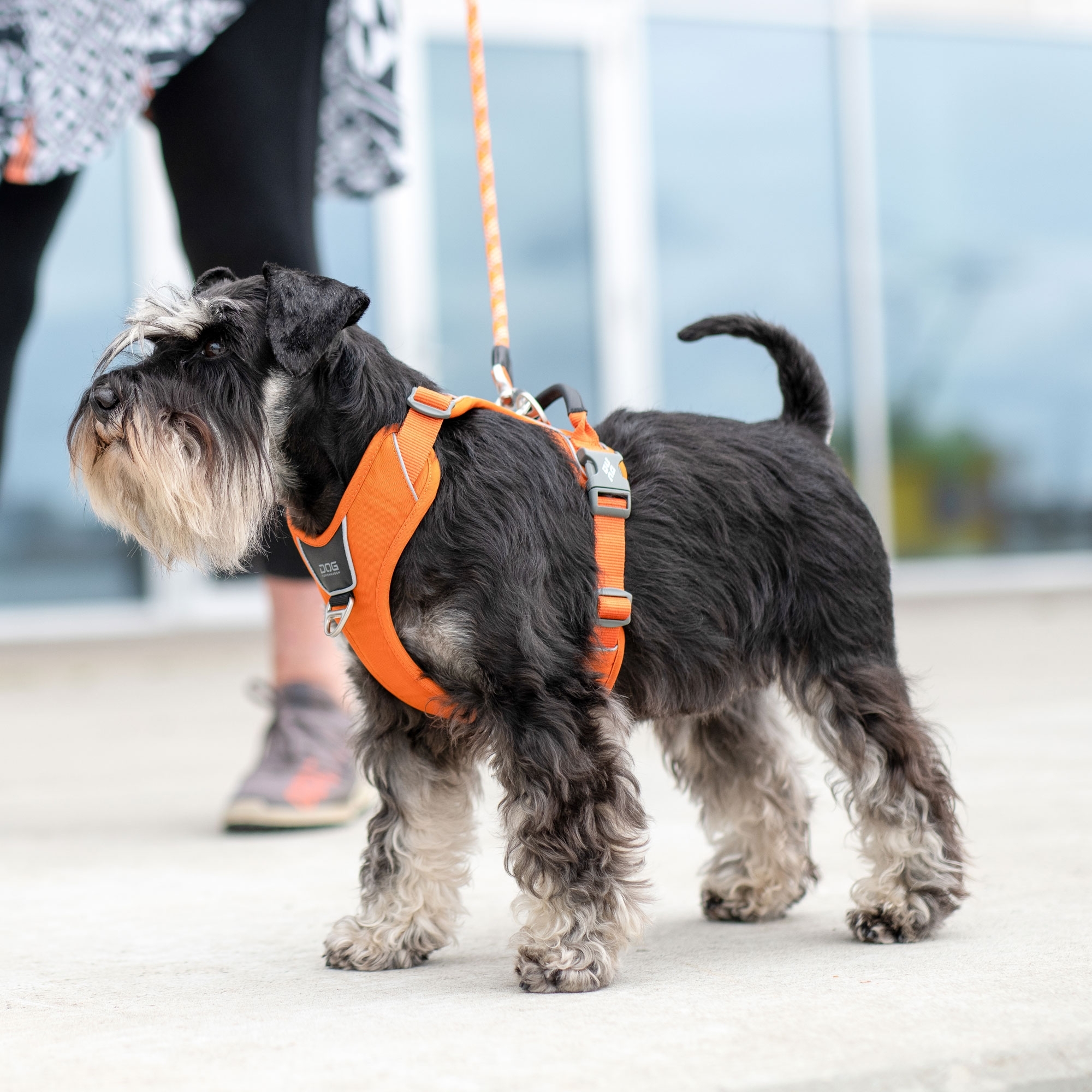 Comfort Walk Pro™ Sele