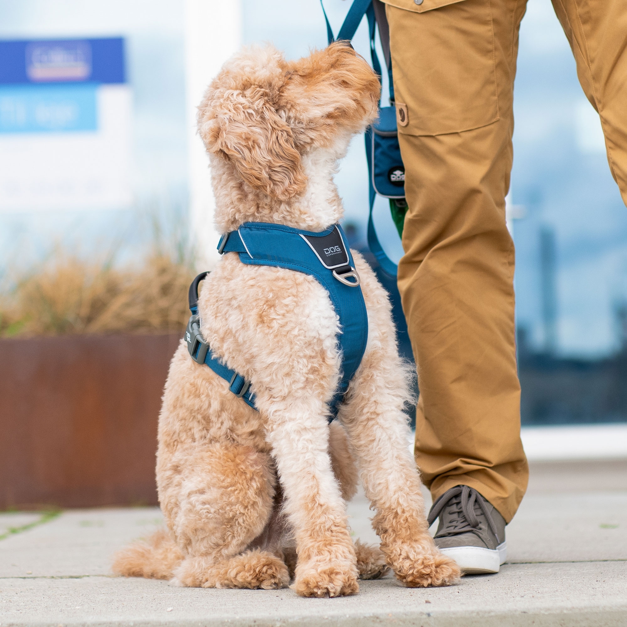 Comfort Walk Pro™ Sele