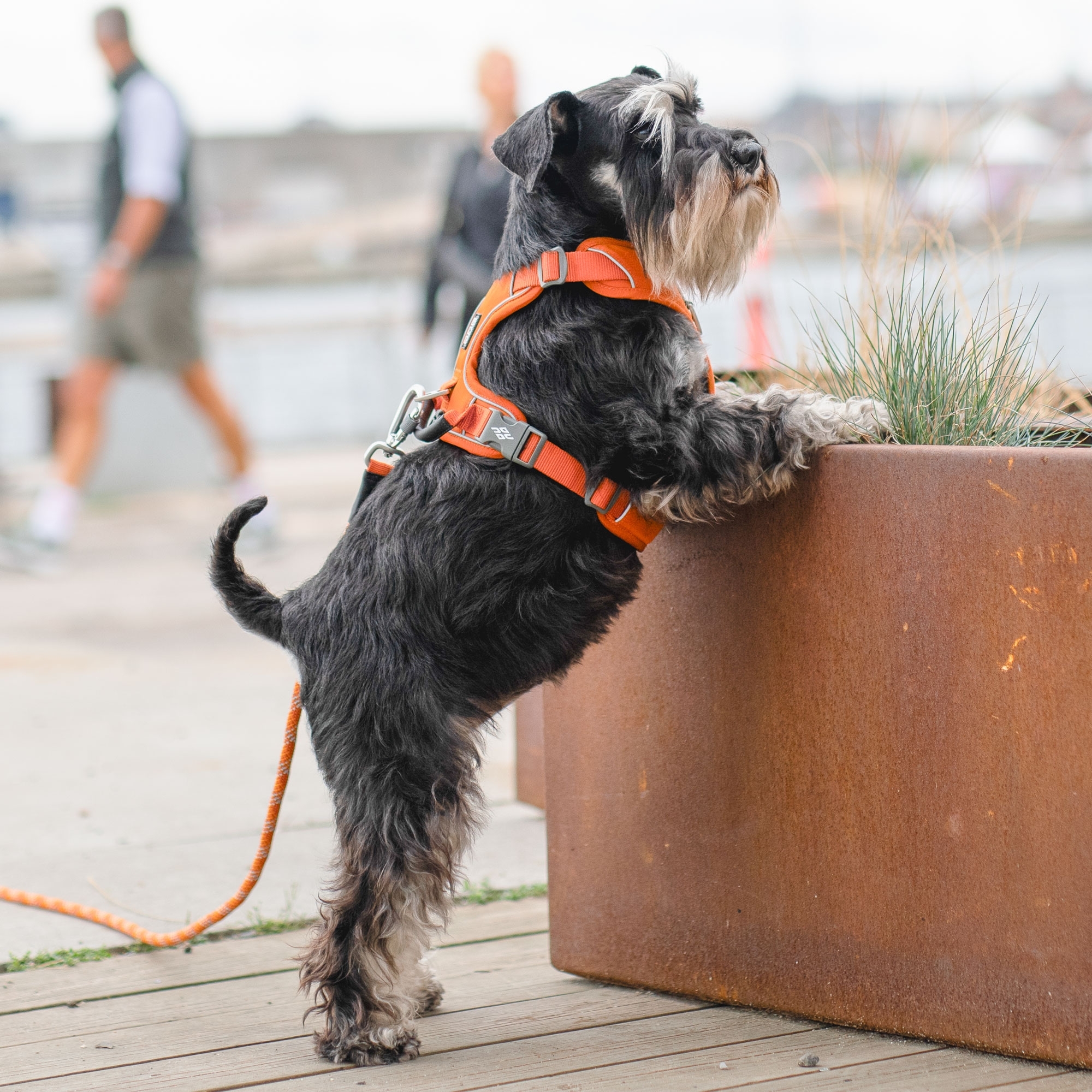Comfort Walk Pro™ Sele