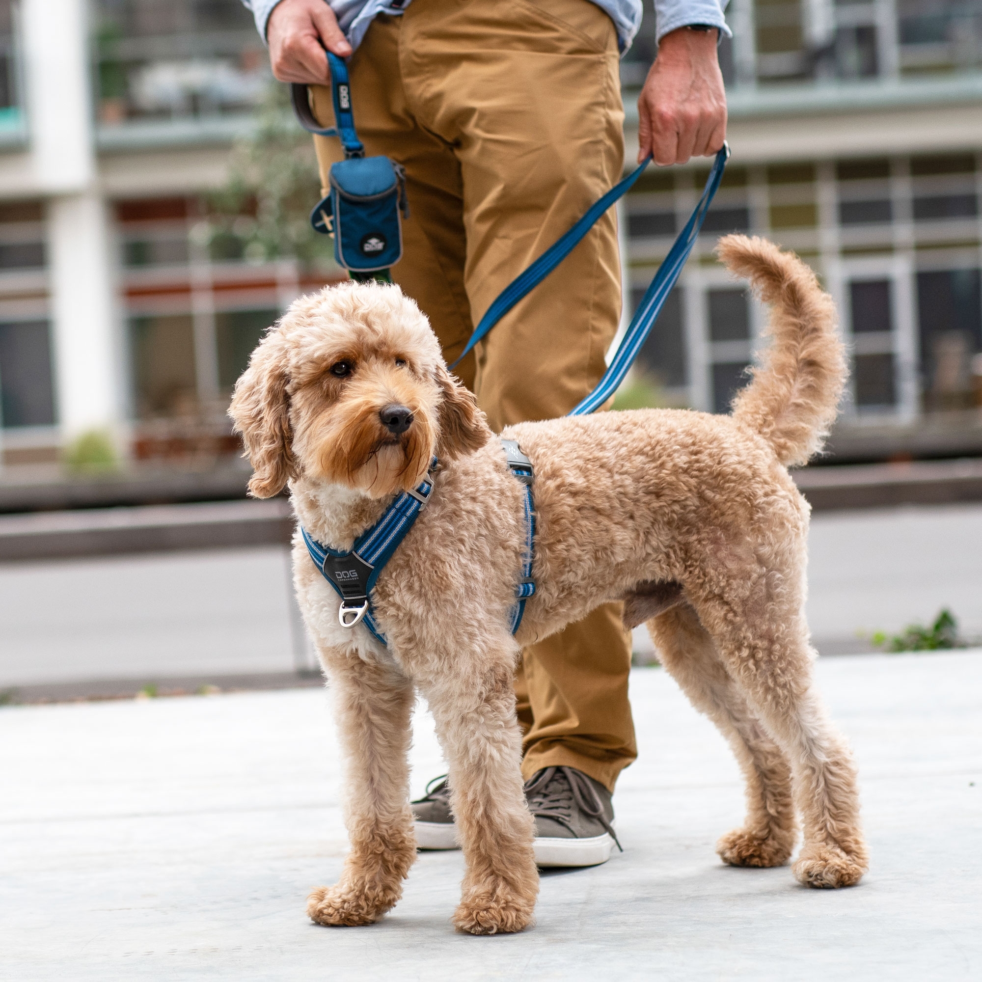 Arnés Comfort Walk Air™