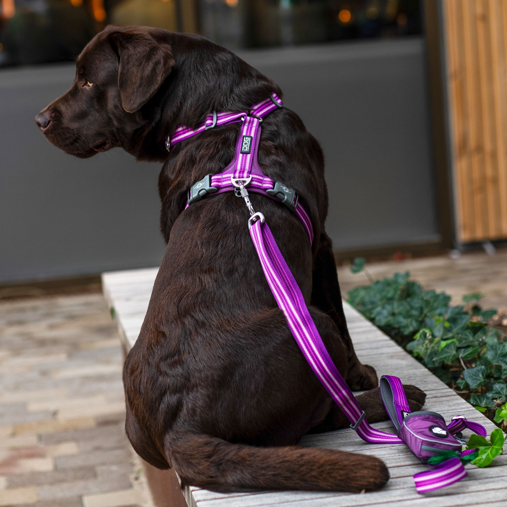 Arnés Comfort Walk Air™
