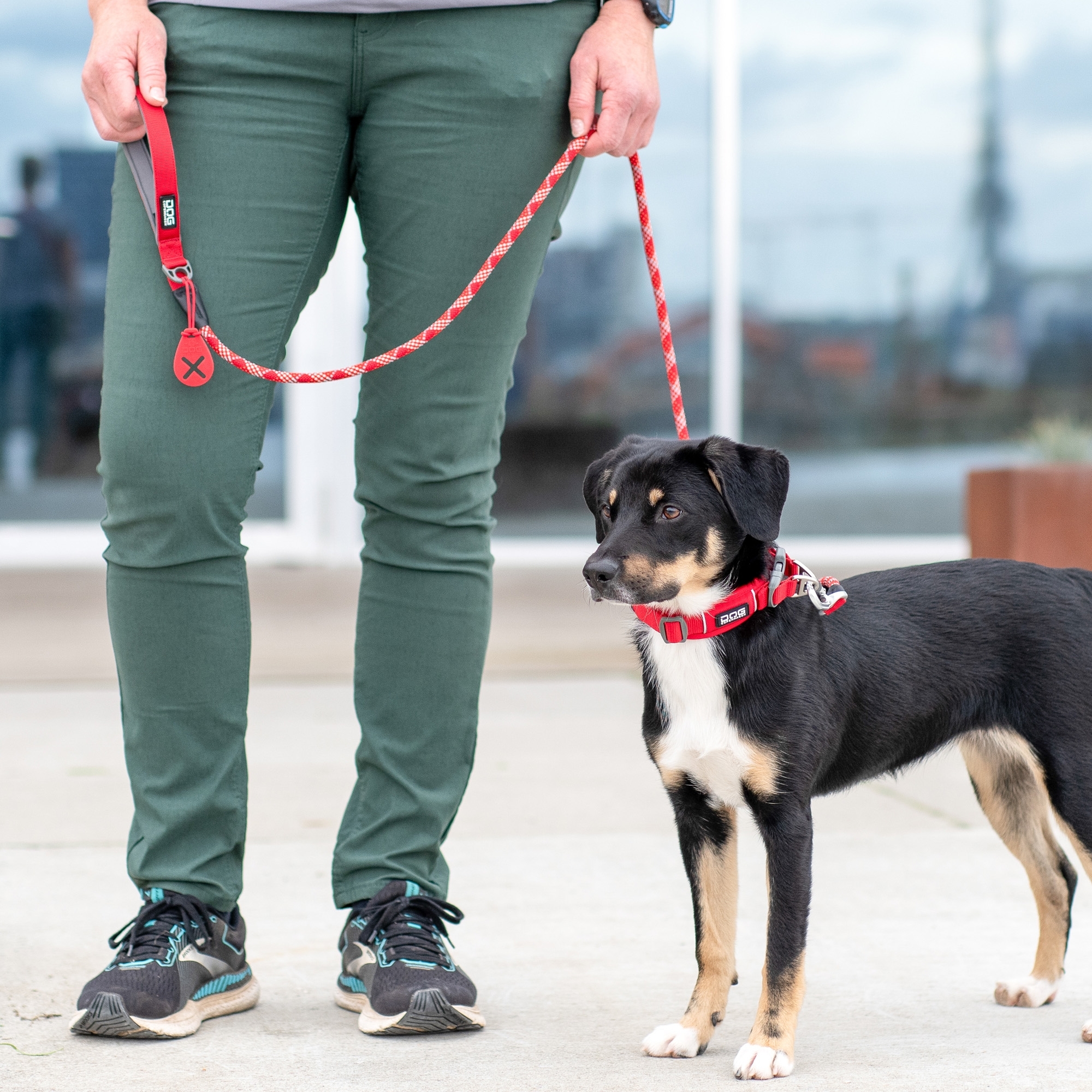 Guinzaglio Urban Rope™