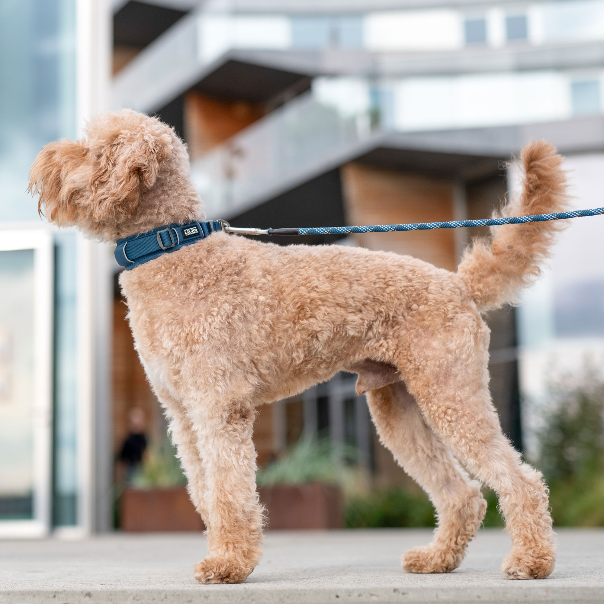 Urban Explorer™ Collier