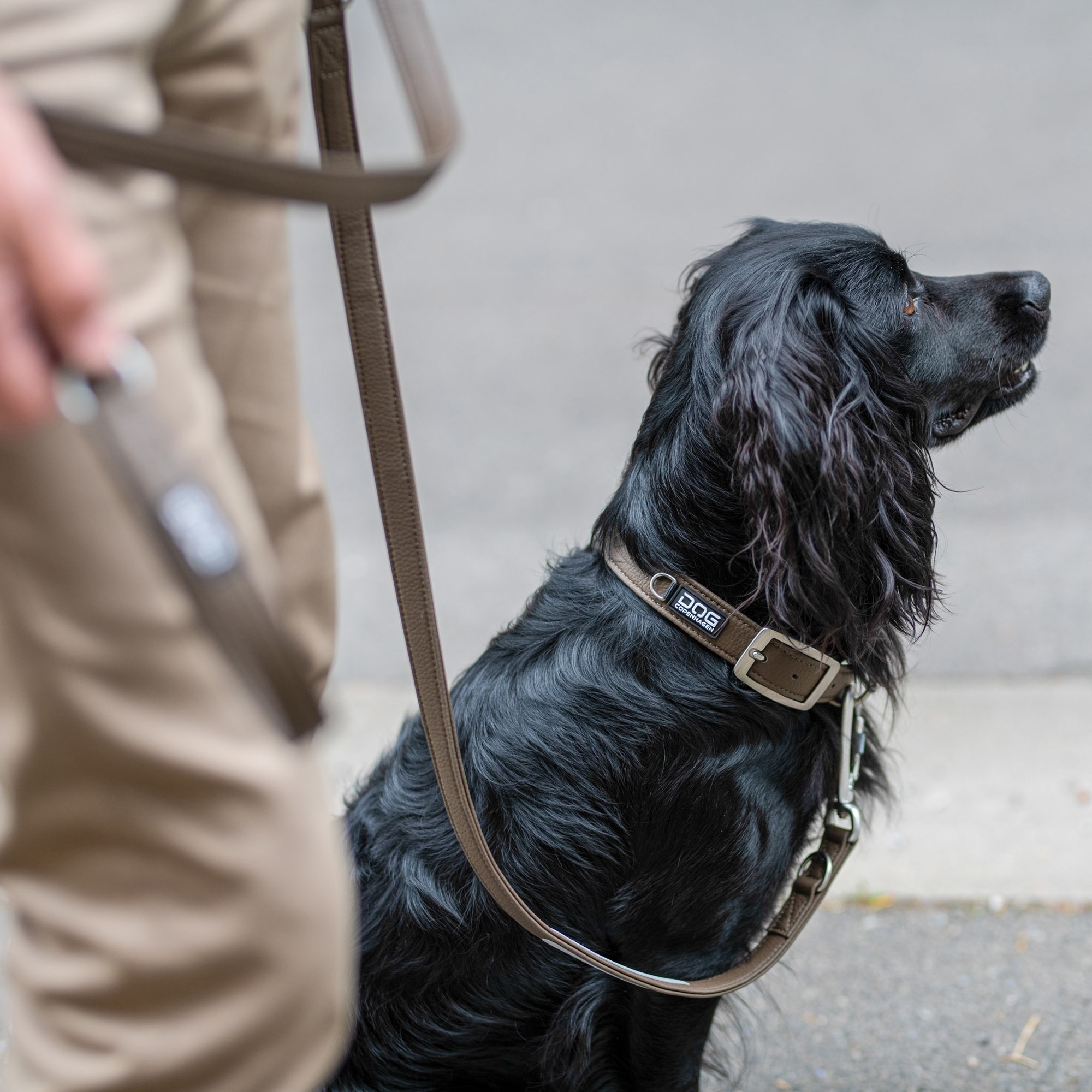 Urban Classic™ Collar