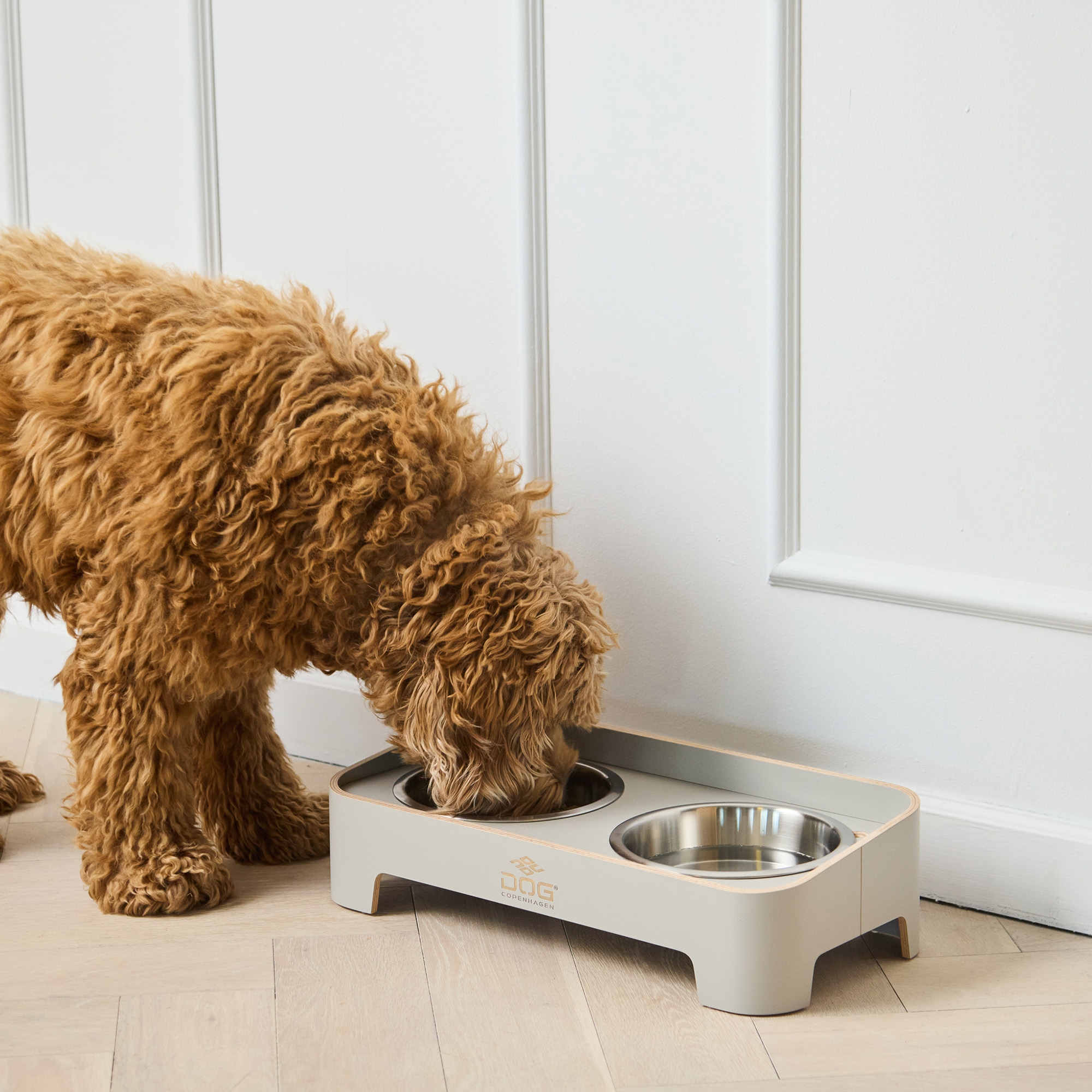 Bar pour chiens Skagen